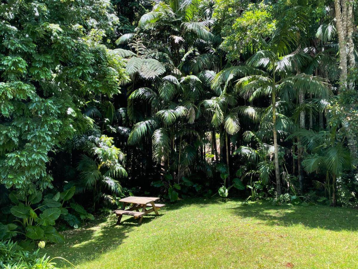 Romantic Cottage, Tamborine Mountain Экстерьер фото