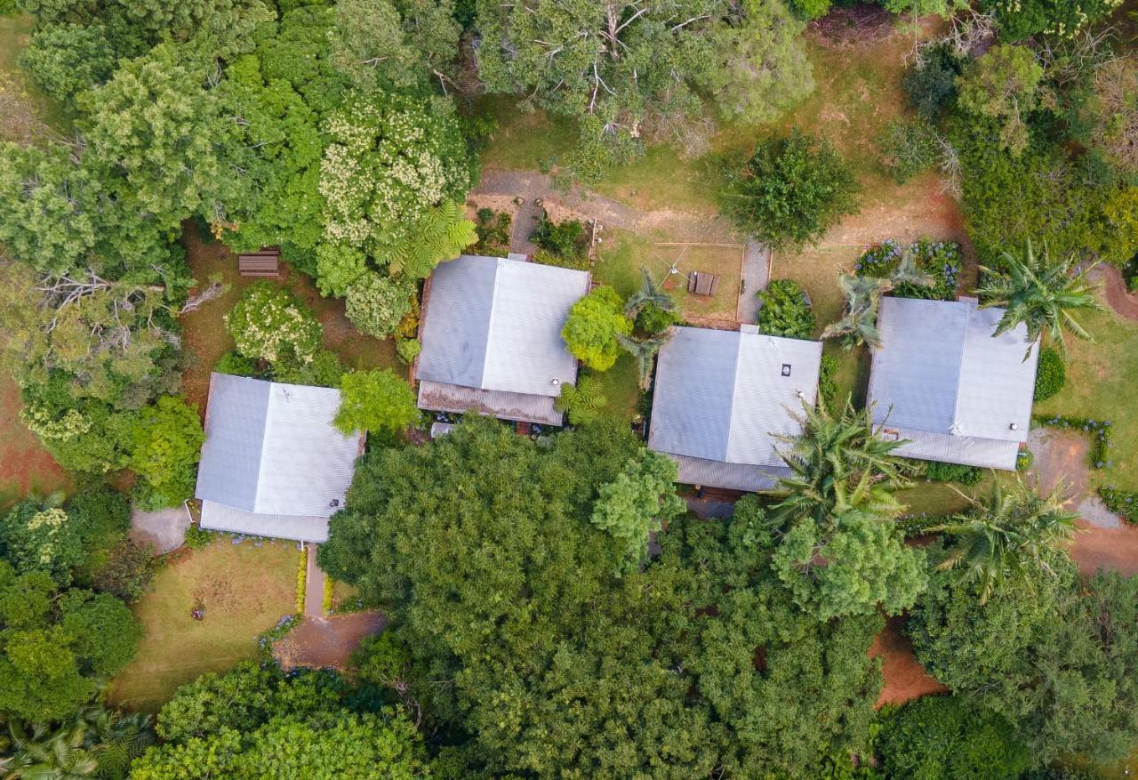 Romantic Cottage, Tamborine Mountain Экстерьер фото